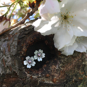 Cherry Blossom Studs by Adele Stewart - Rata Jewellery