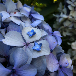Hydrangea Flower Studs by Adele Stewart - Rata Jewellery